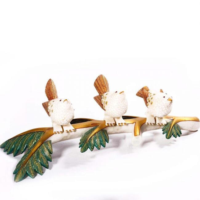 Bird Family